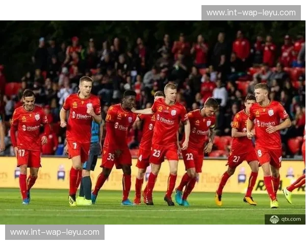 当海风遇见南十字星:济州联与阿德莱德联的足球之约 当海风遇见南十字星:济州联与阿德莱德联的足球之约